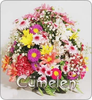 620  Regalo recién nacido – Flores Cumelen