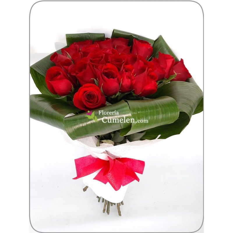 113 | 25 Rosas rojas y aspidistras en ramo – Flores Cumelen