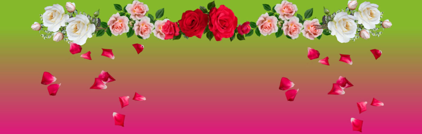 Flores Cumelen