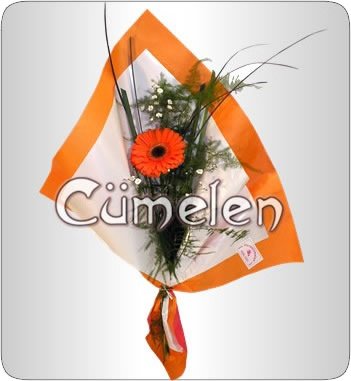 702 | Gerbera Individual – Flores Cumelen