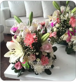 Flores Cumelen