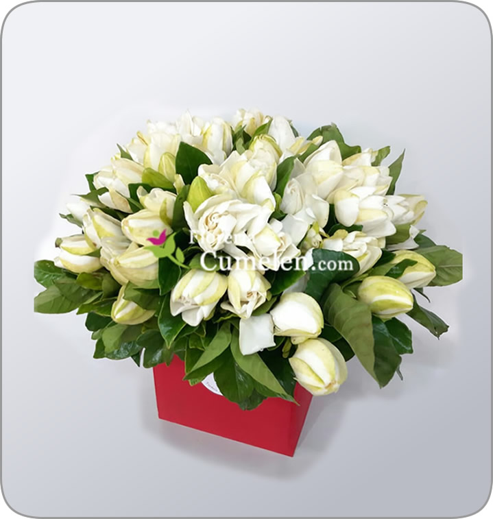 Flores Cumelen