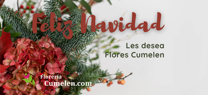 Flores Cumelen