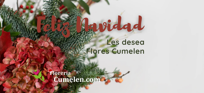 Flores Cumelen