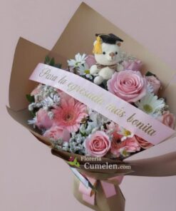 245 | Especial egresada