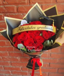 244 | Especial egresados